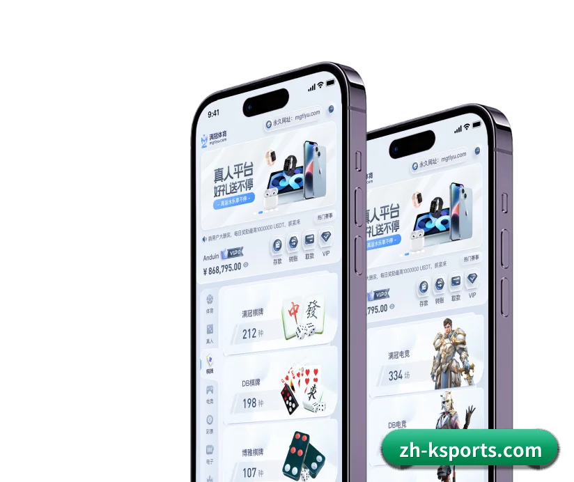 K体育 APP 界面